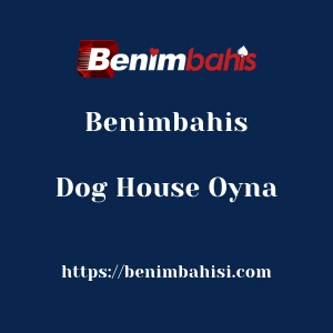 Benimbahis Dog House Oyna